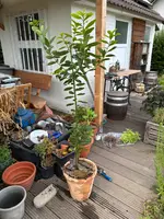 IMG_0108.webp