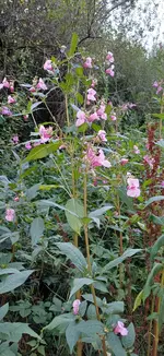 20260809_082205.webp