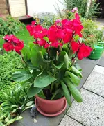 1786712654987.webp