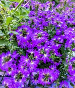 IMG_20260808_183730240_HDR~2.webp
