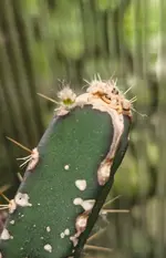 20260816_183748.webp