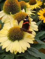 IMG_20260816_131403.webp
