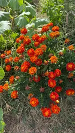 IMG_0019.webp