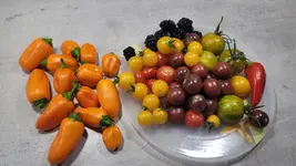 20260818_191243.webp
