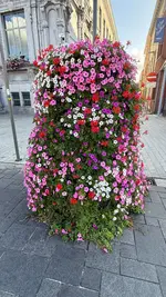 IMG_0055.webp