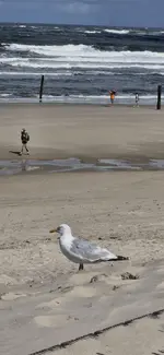 IMG-20260822-WA0017.webp