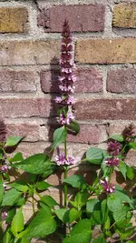 IMG_20260601_104253.webp