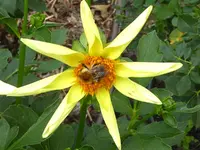 067.webp