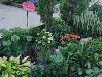 IMG_20260813_182131-EDIT (1).webp