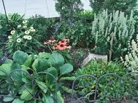 IMG_20260813_182157.webp