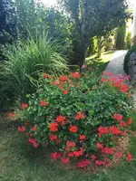 IMG_20260901_163010-EDIT.webp