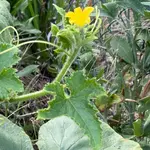 IMG_0194.webp