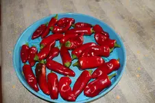 Chilie Espelette 0526.webp