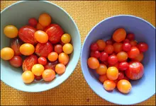 c062.webp