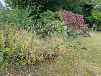 Staude_1a.webp