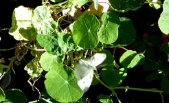 0.webp