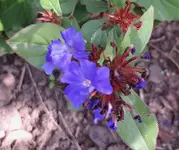20260908_133910.webp