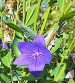 20260908_133929.webp