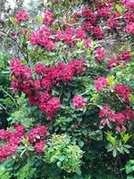 IMG_20260601_121444_1.webp