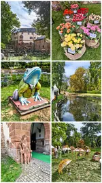20260912_084722-COLLAGE.webp