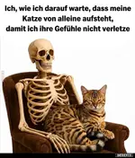 3a97102e436d88d601f07e79411286a27530.webp