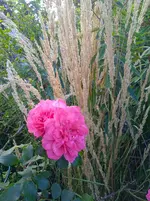IMG_20260912_171911.webp