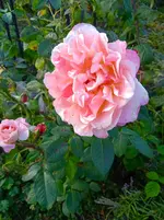 IMG_20260912_172056_1.webp