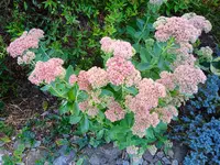 IMG_20260912_171335 - Kopie.webp
