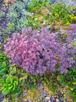 IMG_20260912_172228.webp