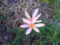 IMG_20260904_124346.webp