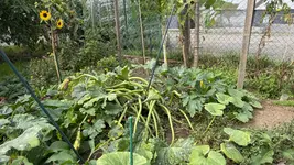 IMG_0316.webp IMG_0316.webp