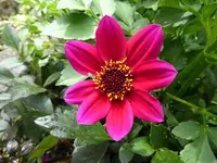 002.webp
