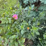 IMG_0402.webp
