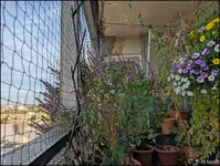 c069.webp