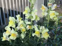 2026LMTopf6.webp
