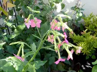 012.webp