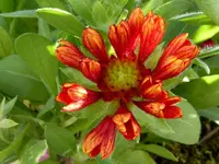 011.webp