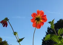 021.webp