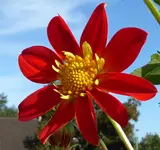 022.webp