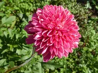 021.webp