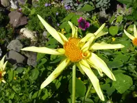 034.webp