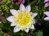 030.webp
