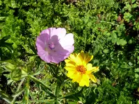 23.webp