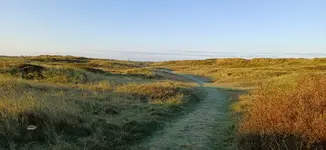 20260927_081321.webp