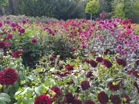 IMG_20260927_153649.webp