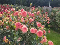 IMG_20260927_153716.webp