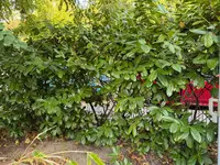 IMG_8604.webp
