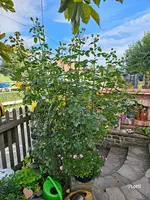 20260930_102506.webp