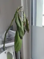 image-1787582549669.webp