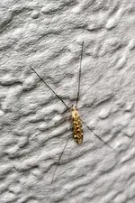 IMG_20260930_093953412_HDR~2.webp